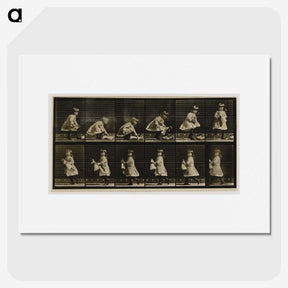 2-25_Eadweard-Muybridge_picture