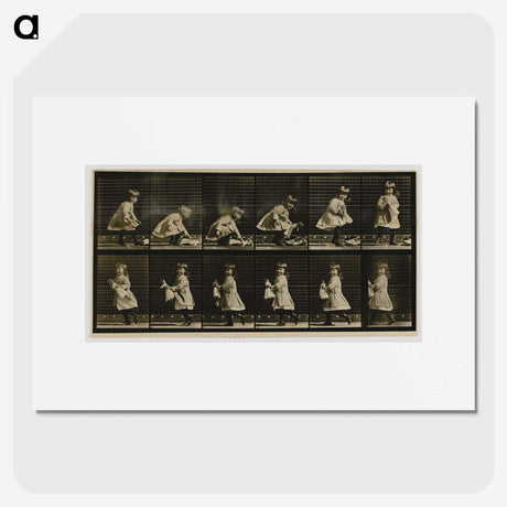 2-25_Eadweard-Muybridge_picture