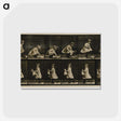2-25_Eadweard-Muybridge_postcard