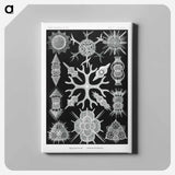Spumellaria–Schaumstrahlinge - エルンスト ヘッケル Canvas.
