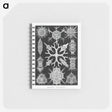 2-25_Ernst-Haeckel_memo
