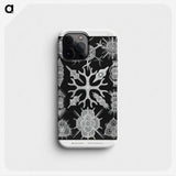 2-25_Ernst-Haeckel_phone