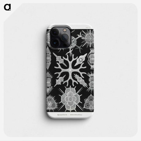 2-25_Ernst-Haeckel_phone