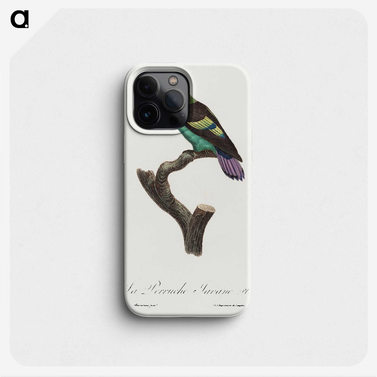 2-25_Francois-Levaillant_phone