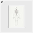 アートポストカード-Human Skeleton, Posterior View
 - ジョージ スタッブス Postcard.