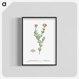 2-25_Histoire-des-Plantes-Grasses_blk-crop