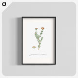 2-25_Histoire-des-Plantes-Grasses_blk
