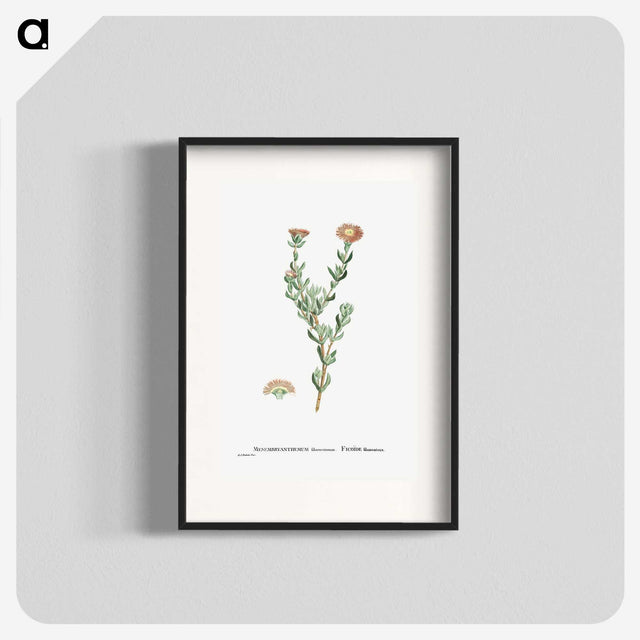 2-25_Histoire-des-Plantes-Grasses_blk