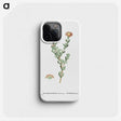 2-25_Histoire-des-Plantes-Grasses_phone