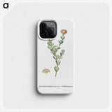 2-25_Histoire-des-Plantes-Grasses_phone