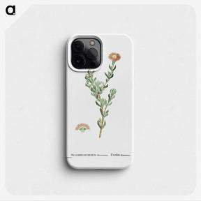 2-25_Histoire-des-Plantes-Grasses_phone