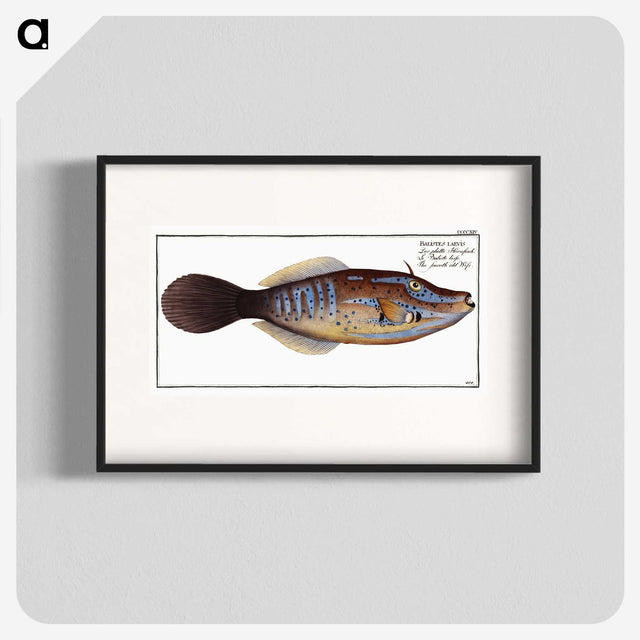 2-25_Ichtyologie-ou-Histoire-naturelle_blk