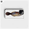 2-25_Ichtyologie-ou-Histoire-naturelle_phone