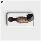2-25_Ichtyologie-ou-Histoire-naturelle_phone