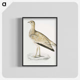 2-25_Indian-Zoology_blk-crop