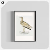 2-25_Indian-Zoology_blk