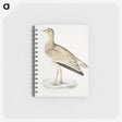 2-25_Indian-Zoology_memo