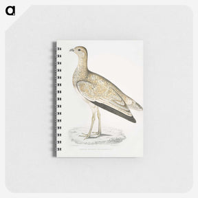 2-25_Indian-Zoology_memo