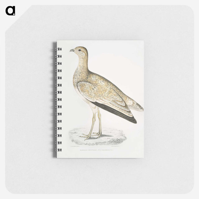 2-25_Indian-Zoology_memo