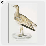 2-25_Indian-Zoology_picture-crop