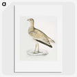 2-25_Indian-Zoology_picture