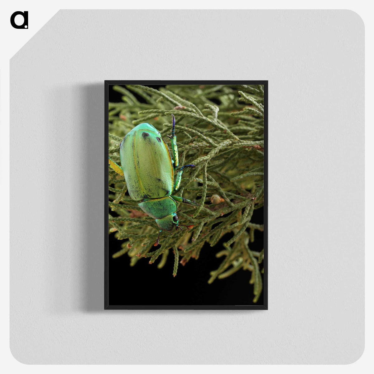 2-25_Insects-Unlocked-Project_blk-crop