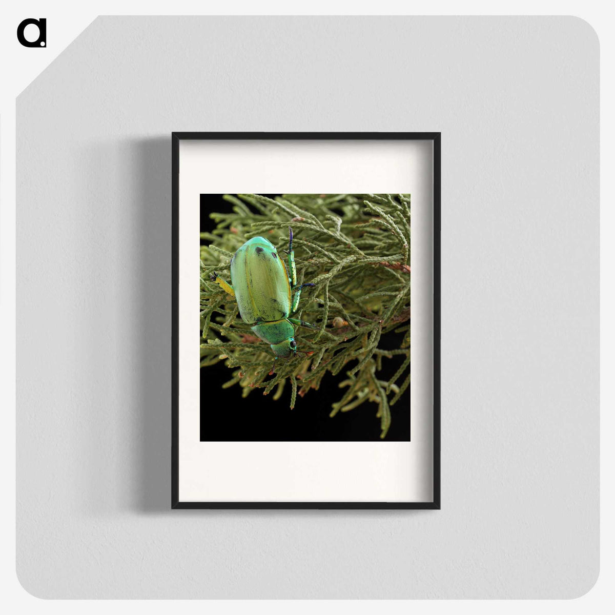 2-25_Insects-Unlocked-Project_blk