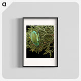 2-25_Insects-Unlocked-Project_blk