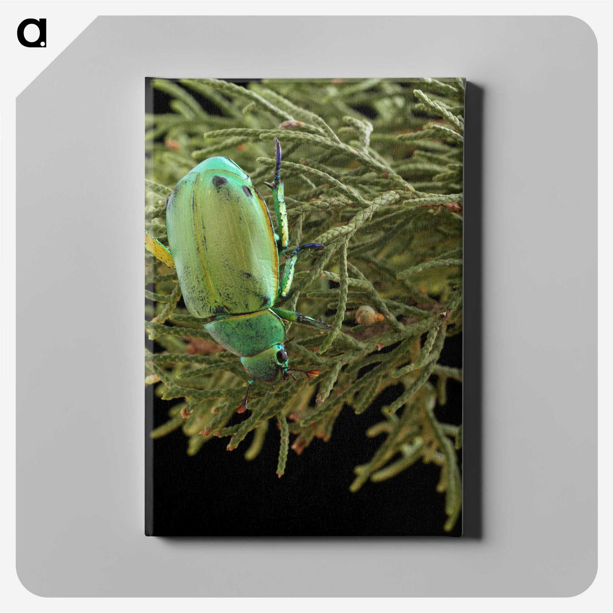 2-25_Insects-Unlocked-Project_canvas