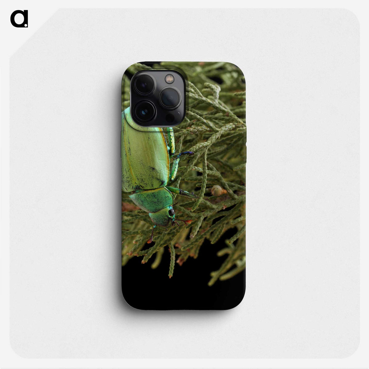 2-25_Insects-Unlocked-Project_phone