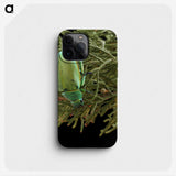 2-25_Insects-Unlocked-Project_phone
