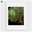 2-25_Insects-Unlocked-Project_picture