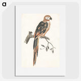 2-25_Johan-Teyler_picture