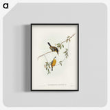 2-25_John-Gould_blk-crop