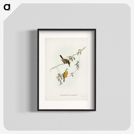 2-25_John-Gould_blk
