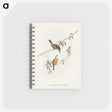2-25_John-Gould_memo
