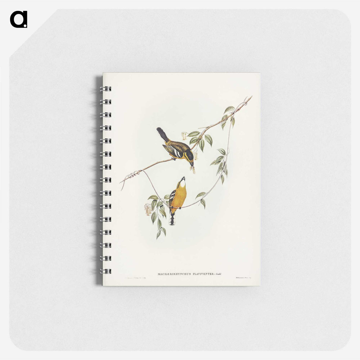 2-25_John-Gould_memo