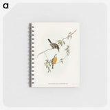 2-25_John-Gould_memo