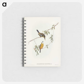 2-25_John-Gould_memo