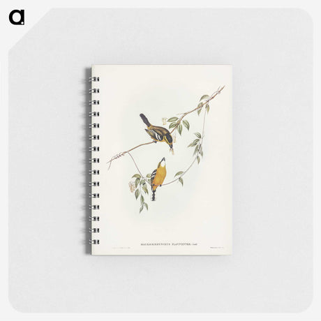 2-25_John-Gould_memo