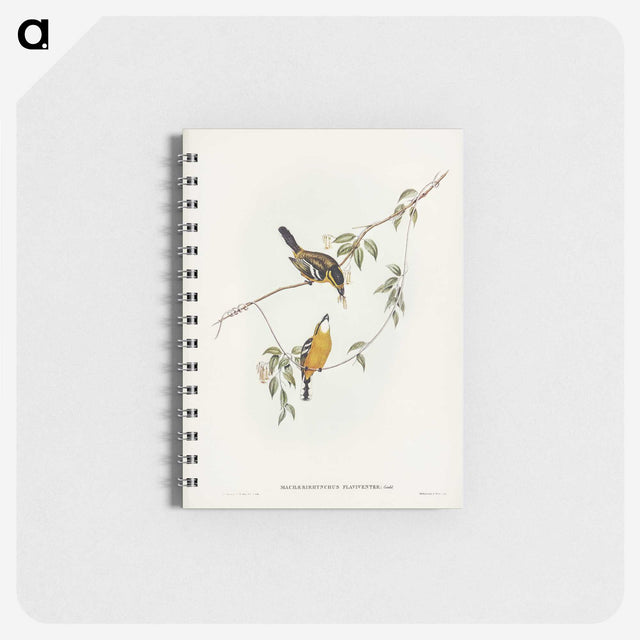 2-25_John-Gould_memo