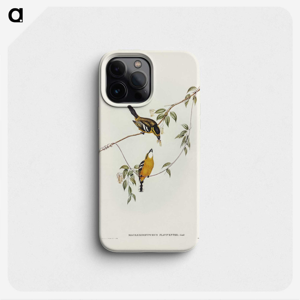 2-25_John-Gould_phone