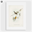 2-25_John-Gould_picture
