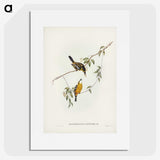 2-25_John-Gould_picture