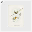 2-25_John-Gould_postcard