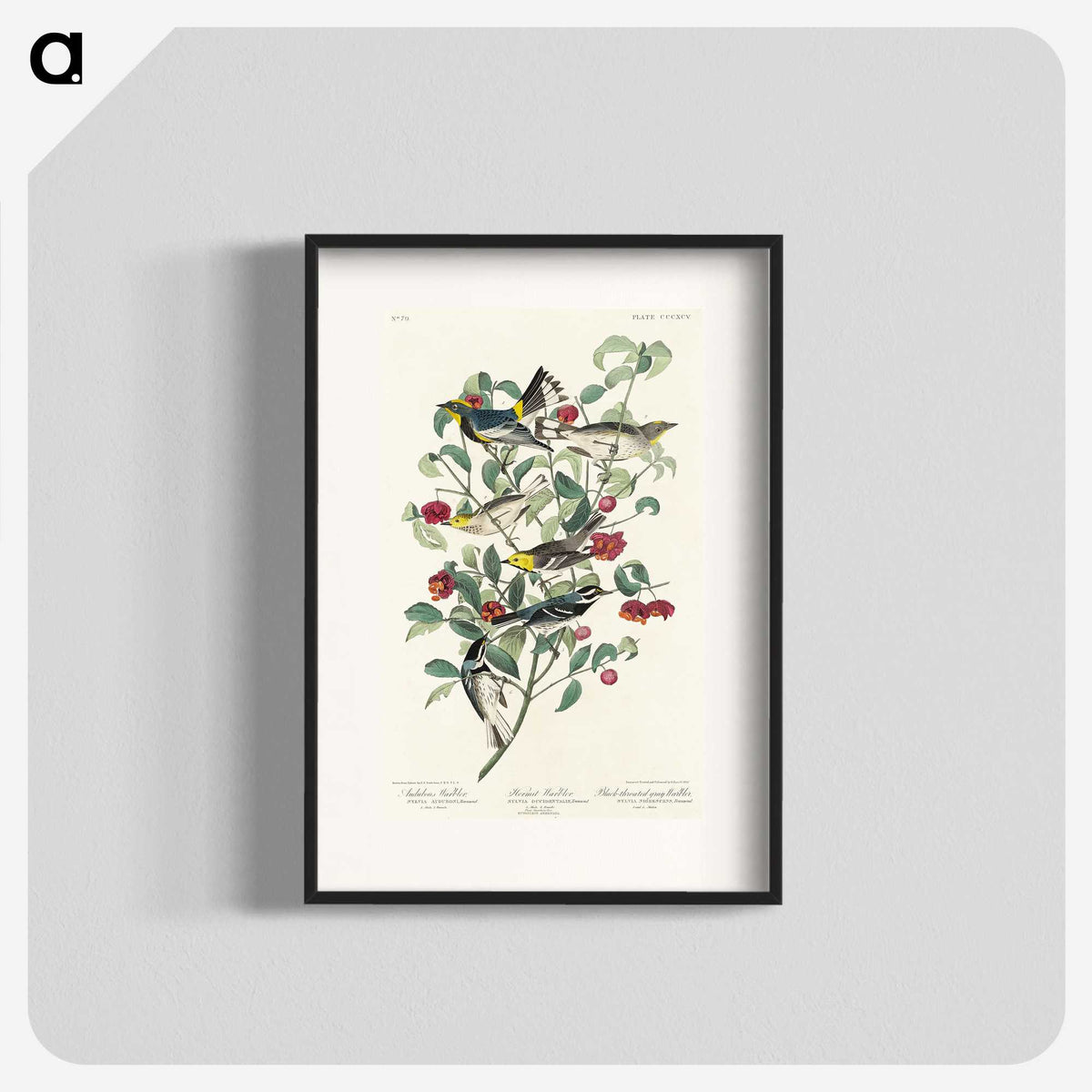 2-25_John-James-Audubon_blk