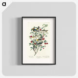 2-25_John-James-Audubon_blk