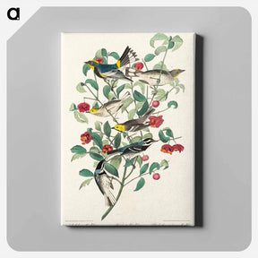 アートパネル-Audubon's Warblers
 - ジョン ジェームス オーデュボン Canvas.
