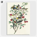 2-25_John-James-Audubon_picture-crop