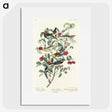 2-25_John-James-Audubon_picture